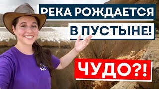 ЧУДО-БУРЯ В ПУСТЫНЕ? Реки Возрождаются в Израиле!