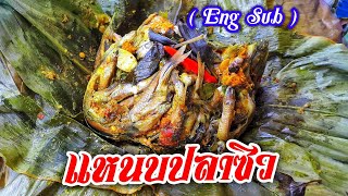 Ep.292 แหนบปลาซิว หอมใบตองมากๆ | ทำง่ายอร่อยด้วย | thaifood | เมนูง่ายๆ | ลูกถ่ายแม่ทำ byนายทราย