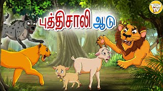 புத்தி சாலியான ஆடு l Bedtime Stories for Kids | Tamil Fairy Tales | Tamil Stories l Toonkids Tamil