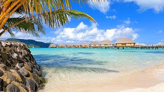Tahiti Time: 3 Hours of Overwater Bungalow Bliss From French Polynesia