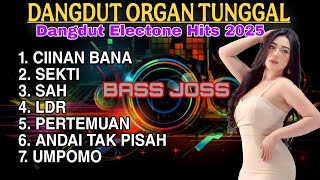 CIINAN BANA - DANGDUT KOPLO ORGAN TUNGGAL PALING HITS 2025 | FULL ALBUM LAGU DANGDUT TERBAIK