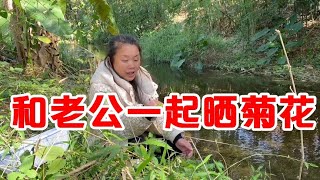 我跟老公摘野菊花，老公突然发现了一大片野货，开心忙得停不下来【壮乡小妹】