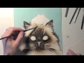 The Dramatic Watercolor Painting of a Cat by Tracy Lizotte