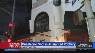 Man shot during attempted robbery in Hollywood