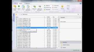 Scarabeus DMS Filesystem
