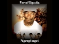 ngenyi ngei (acoustic version), parvel sigauke