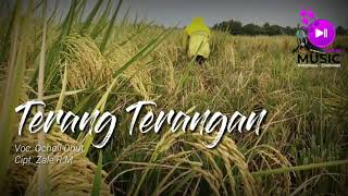 TERANG TERANGAN || Ocholl Dhut (Cover) Music Tarling Top