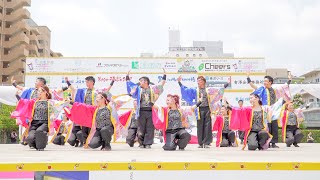 [4K] 咲楽　うらじゃ 2019　下石井公園演舞場 (中央)