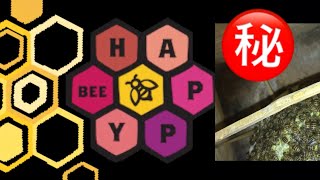 【定期観察】入居したニホンミツバチ🐝巣箱内にアイツがいたらどうすればいい？？