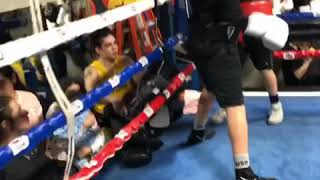 Danny rizzo boxing