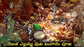 పుట బంగారం,ఎల్లమ్మ    పుట బంగారం పూజ puta kapadam ,2022-@balamaniakkabonam#viral  🙏..