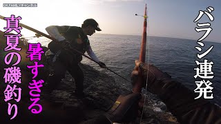 灼熱の磯釣り　真夏の石鯛釣り　暑すぎる　バラシ連発で釣果はいかに？三重県方座浦　モジヤ島