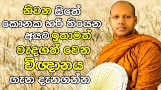 නිවන සිතේ කොනක හරි තියෙන අය ඇසිය යුතුම දේශනාවක් | විඥානය | Ven Hasalaka Seelawimala Thero Bana 2021