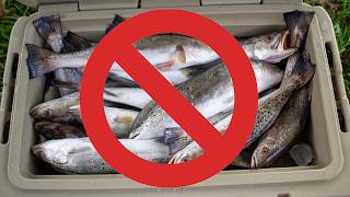 Will speckled trout fishing be banned? | Emergency Scenario for Louisiana