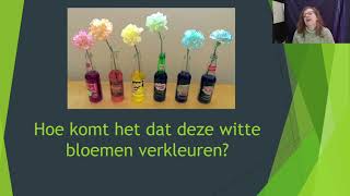 Hoe vervoert een plant stoffen?