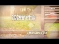 活泼的生命 09.18.2017 蒙恢复的证据 ─承认钱财的主人 以赛亚书23 1~18