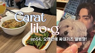 [캐럿 릴로그] ep54. 오랜만에 싸대기즈 앨깡 • 박수화이트는 누가 나왔을까? • teenage • 박수앨범깡 • 8주년 호시 귀걸이 언박싱도 곁들인 • 얼레벌레 릴로그