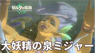 大妖精の泉ミジャー解放やり方【ゼルダの伝説ティアキン】