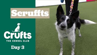 Scruffts Semi Finals - Part one | Crufts 2025
