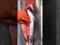 that s how you clean a salmon