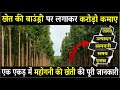 Earning Rs 2 crore from 1 acre from mahogany cultivation? Mahogany Tree Farming in India | Mahogany Tree Price