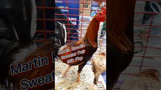 Martin Escolin Sweater Pair  | IGF 2022 Poultry Expo #Shorts