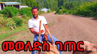 🔴  ሮቢት ከተማ እና ገበያው#ebs#subscribe #record