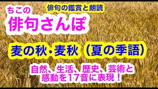 【俳句さんぽ第69回】麦の秋（夏の季語）自然、生活、歴史、芸術と感動を１７音に！#俳句#俳句鑑賞#俳句朗読