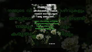 . ഈയൊരു തെറ്റ് ഒരിക്കലും ജീവിതത്തിൽ നമ്മൾ  motivatoin qoutes malyalam sha motive media