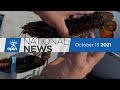 APTN National News October 13, 2021 – Iqaluit drinking water problem, Punching holes in lobster