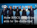 What an expanded BRICS means for Africa's economy | DW News Africa