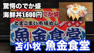 【驚愕のでか盛 海鮮丼 1,600円 苫小牧 魚金食堂】あばお 海鮮ちゃんねる #61 2023.04.04