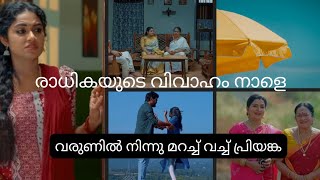 രാധികയുടെ വിവാഹം നാളെ #snehapoorvam shyama serial #episode 24-01-25