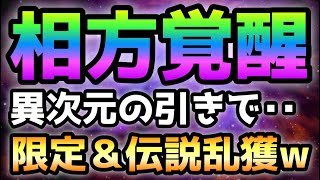 超極ネコ祭で相方が覚醒して異次元の引きを連発してガチでドン引き・・ にゃんこ大戦争