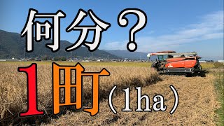 【コンバイン】一町（1ha） 何分で終わる？ 6条刈 クボタ DR6130【稲刈り】