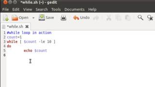 Shell Scripting Tutorial 39 The 'while' Loop