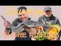 Coastal Sea fishing on the West Coast of Scotland for Spurdogs | PLUS Pigeon and Rabbit Al Fresco