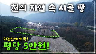 정선 동강 유역 천혜의 자연 속 시골 땅이 평당 5만원 입니다! 귀농을 원하시는 분께 적극추천합니다.