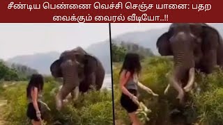 சீண்டிய பெண்ணை வெச்சி செஞ்ச யானை: பதற வைக்கும் வைரல் வீடியோ