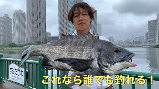 ヘチ釣り一強時代