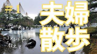 【夫婦旅行】金沢市で亀と鶴を探せるのか？……