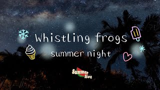 Night time in Barbados - whistling frog sounds