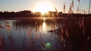 FUNERALS - HOW TO PLAN AND CONDUCT THEM