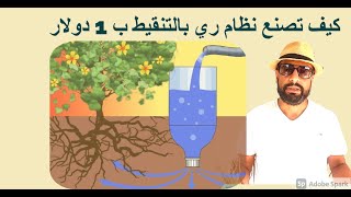 كيف تصنع نظام ري بالتنقيط ب دولار واحد