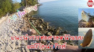 แนะนำการต่อสายหน้าแบบ แคโรไลน่า ริกส์ ( Ajing fishing )