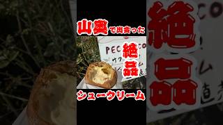 【ペコペコ】山ん中にあるシュークリーム屋さんがウマ過ぎた！【上野原市】#shorts #vlog #グルメ #スイーツ  #山梨県 #cb750 #ろどらん