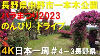 【4Ｋ】日本一周　＃4－3　長野県　中野市　一本木公園　バラまつり　のんびりドライブ