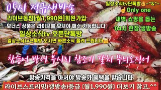 참숭어 부시리 방어 무늬오징어 참조기 갈치11/19일 05시 정규라이브(월~토)☝️Only one 새롭고 싸고 다양한 노량진수산시장 새벽 쇼핑을 돕는 정규생방송(Live)운영~^^