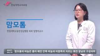 한림대학교동탄성심병원 SMART HEALTH - 맘모톰