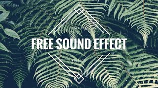 【Youtuber Tips #1】 50首合法下载音效 Free 50+ non copyright Sound Effect download